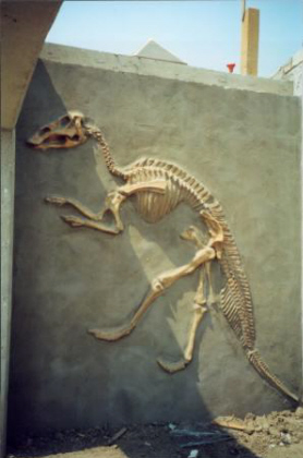Hadrosaur Fossil Wall Complete 2